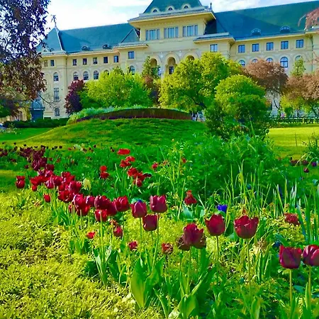 Appartement North Star Boekarest