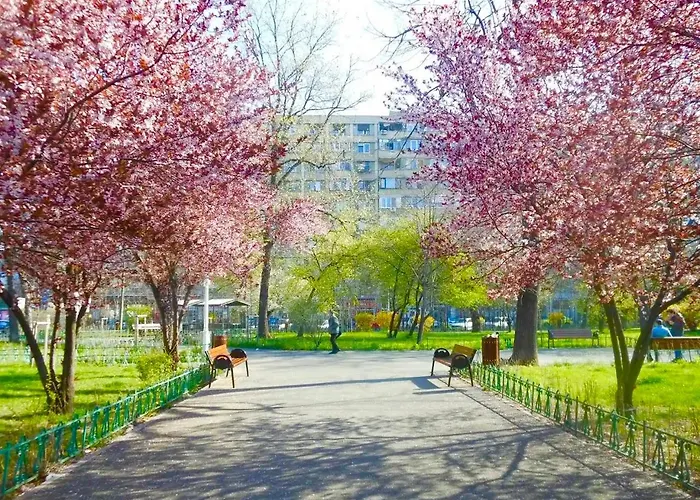 North Star Apartmán