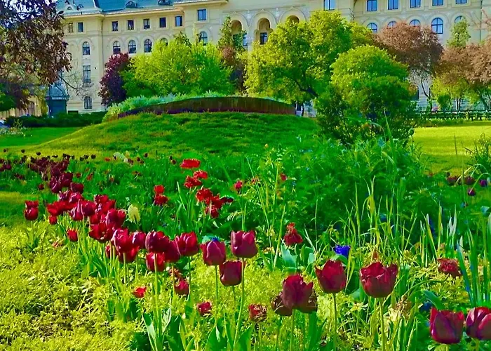 Apartamento North Star Bucarest